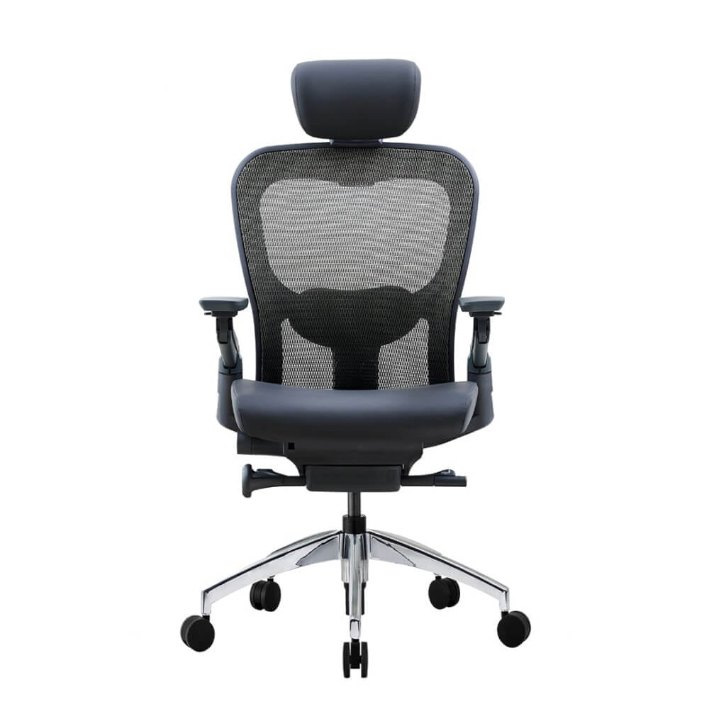 เก้าอี้เพื่อสุขภาพ DF PROCHAIR รุ่น Wonder-H สีดำ_7